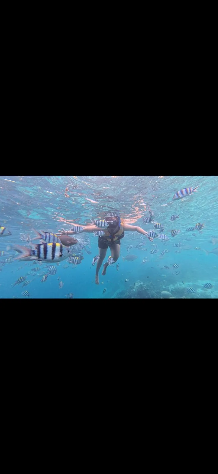 Underwater snorkeling in Raja Ampat